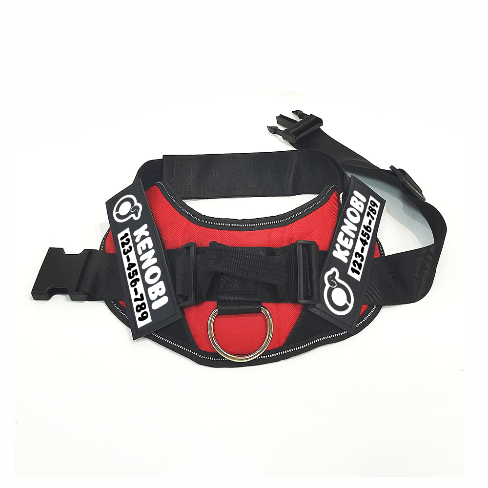 Lucifer - Personalized Dachshund Harness