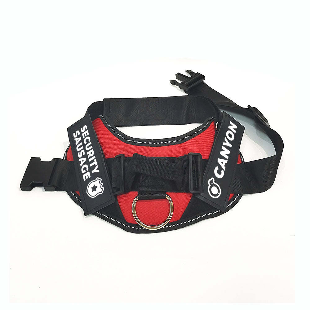Church - Personalized Dachshund Harness