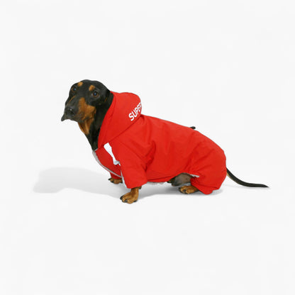 FrostPaw waterproof full-body snowsuit for dachshunds, view 2