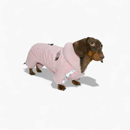 FrostPaw waterproof full-body snowsuit for dachshunds, view 3