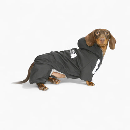 FrostPaw waterproof full-body snowsuit for dachshunds, view 4