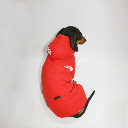 FrostPaw waterproof full-body snowsuit for dachshunds, view 6