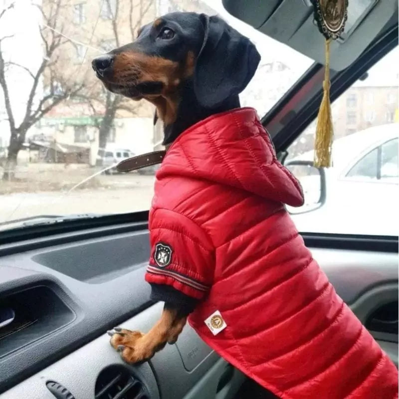 FurFluff Cozy Dachshund Puffer Jacket