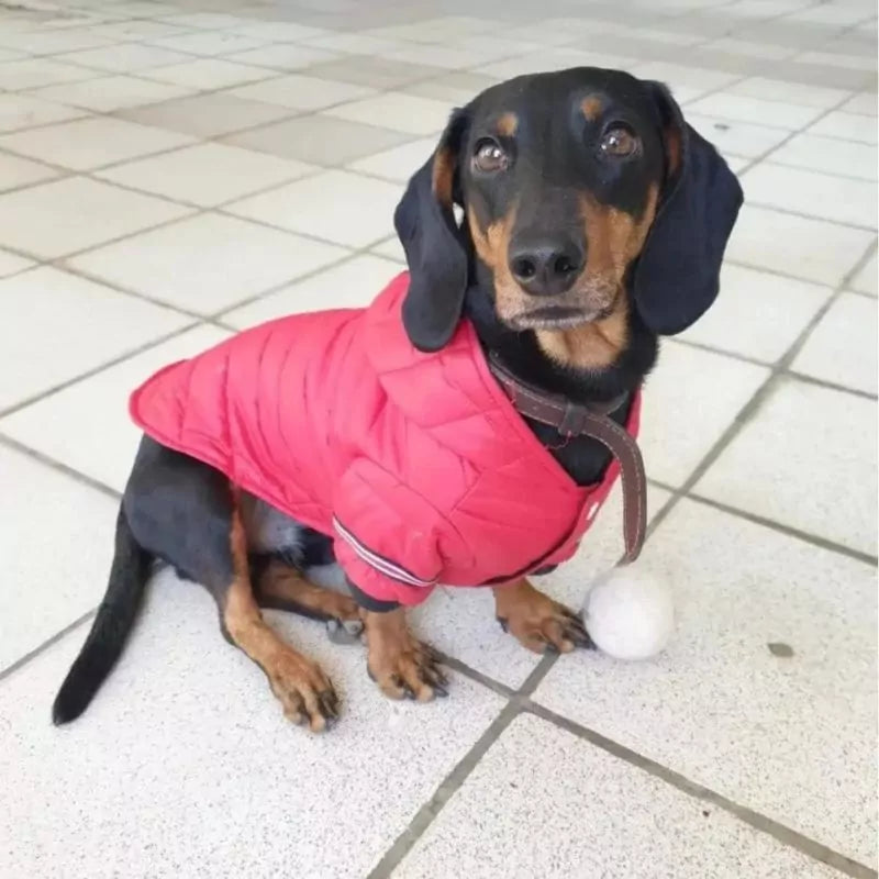 FurFluff Cozy Dachshund Puffer Jacket