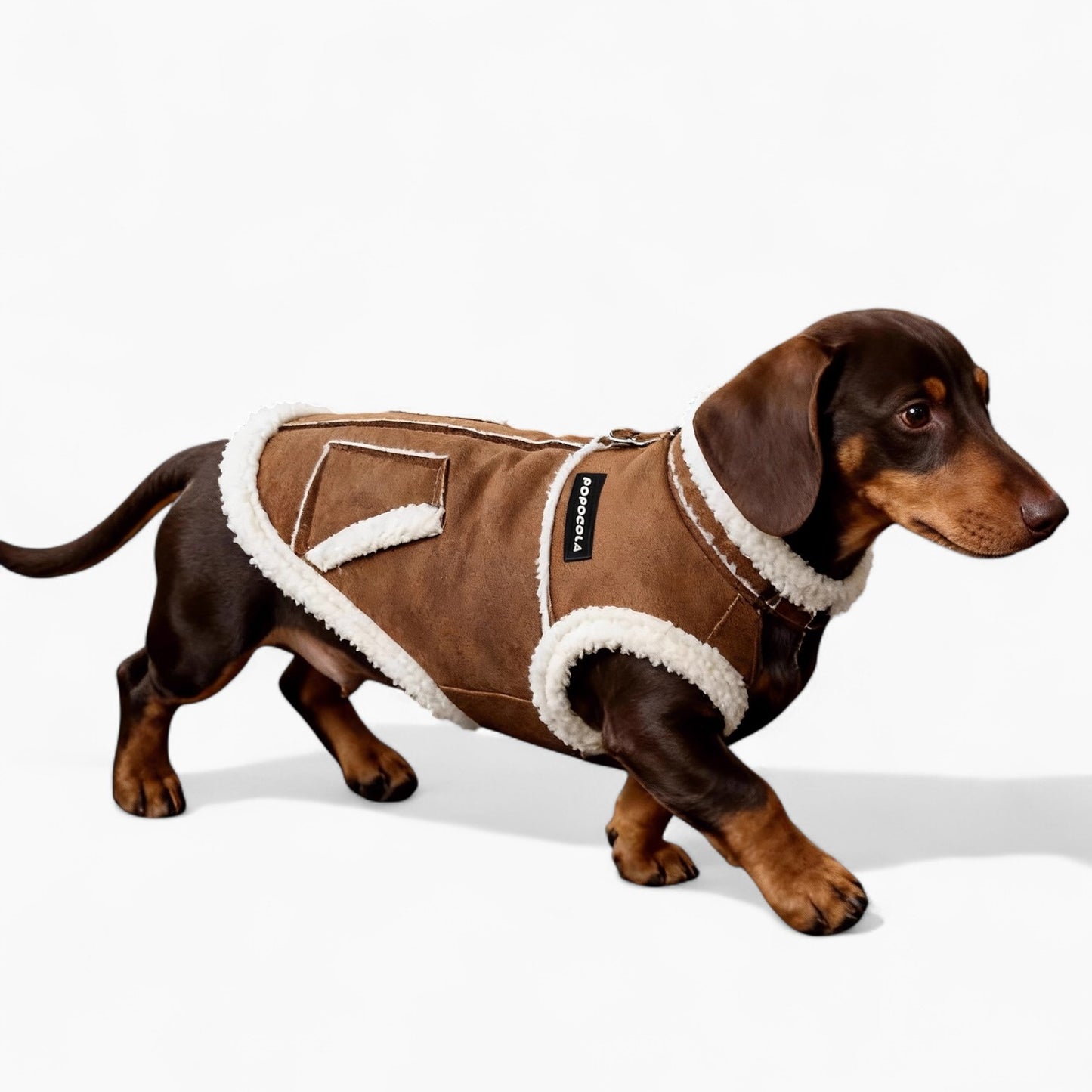 FurLox-Dachshund-Sherpa-Winter-Vest.jpg