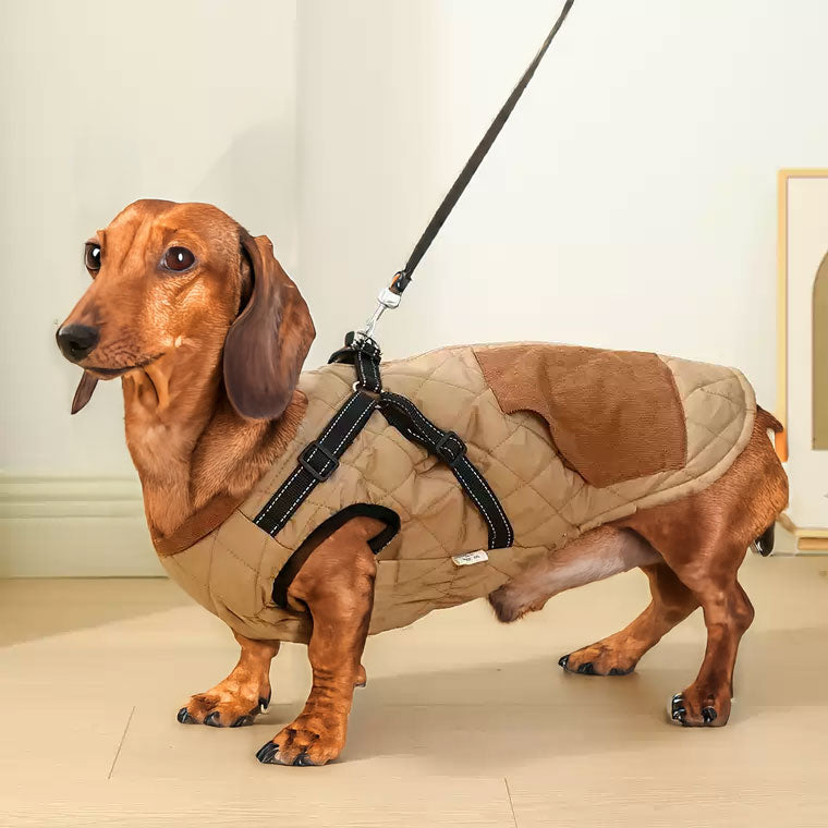 FurSure-Luxury-Dachshund-Jacket-with-Harness–Functional-and-Chic