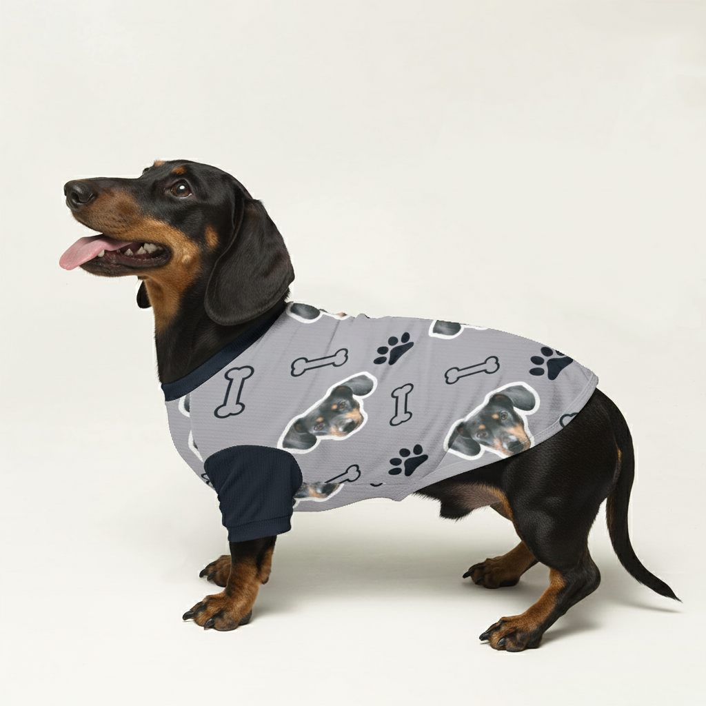 Link - Personalized Wool Sweater for Doxie