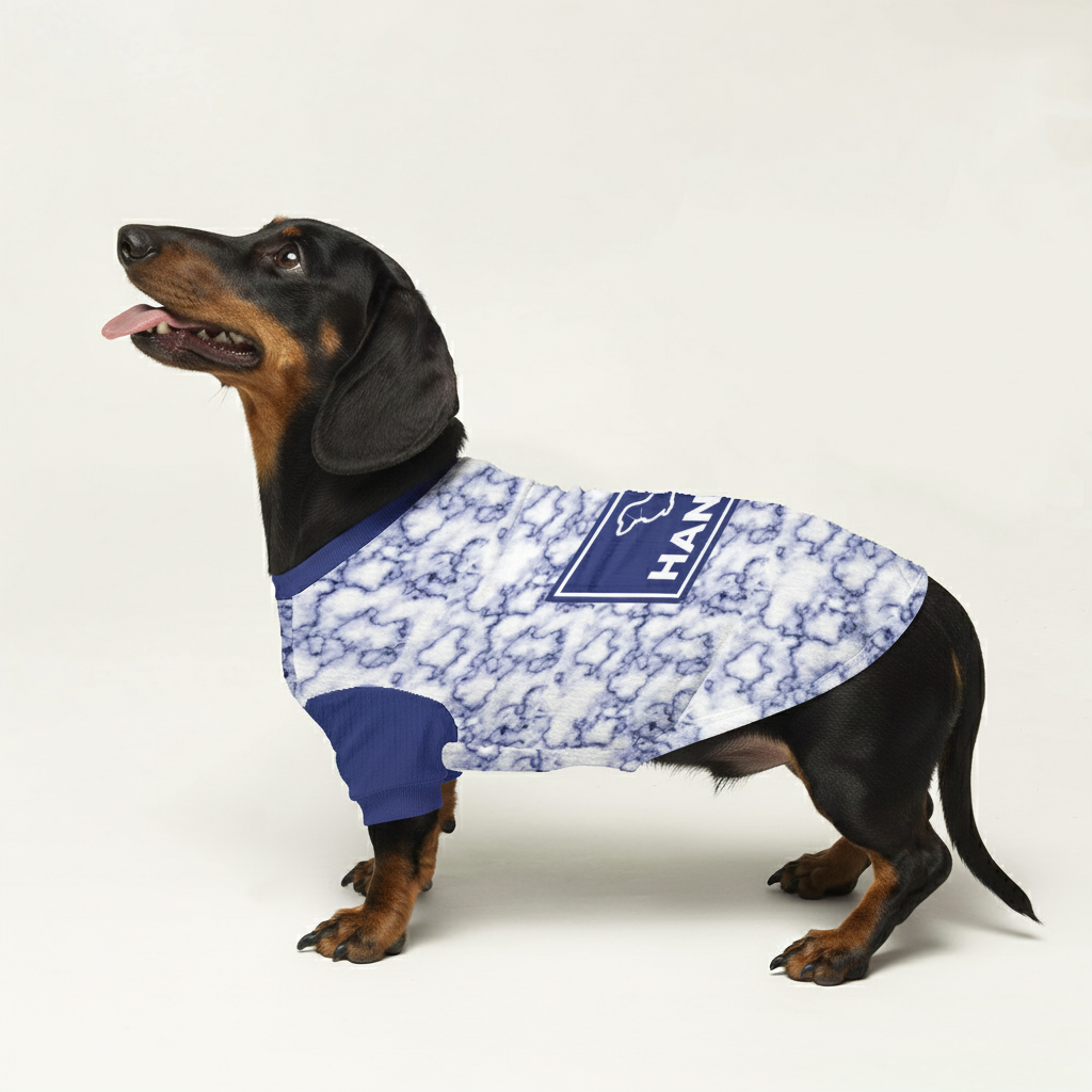 Lanky - Personalized Wool Sweater for Doxie