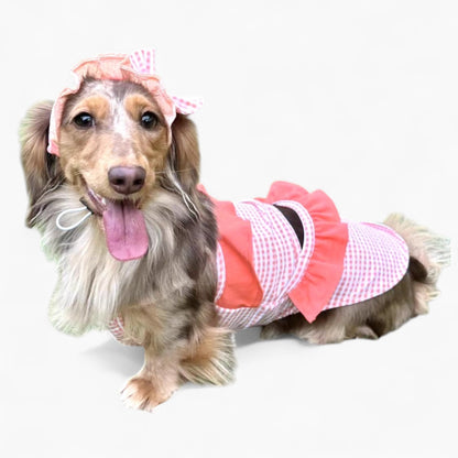 GlamPup-Dachshund-Ruffle-Dress-Set.jpg
