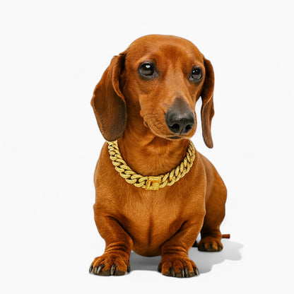 GlitzPet-Dachshund-Cuban-Diamond-Chain.jpg