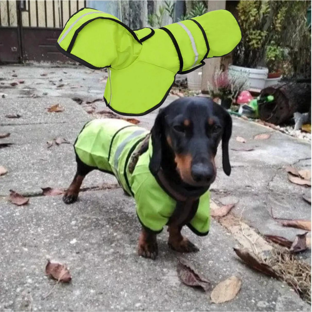 GlowPaw-Dachshund-Raincoat-Reflective-Waterproof-Safety-Doxie-Jacket-www.doxie.us