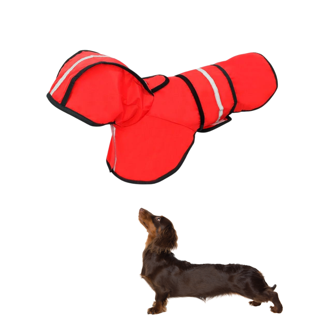 GlowPaw-Dachshund-Raincoat-Reflective-Waterproof-Safety-Doxie-Jacket-www.doxie.us