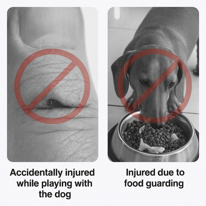 GuardPaw-Dachshund-Anti-Bite-Gloves.jpg