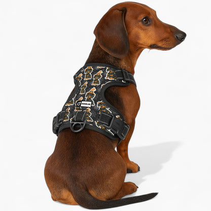 Roxy -  No-Pull Dachshund Dog Harness