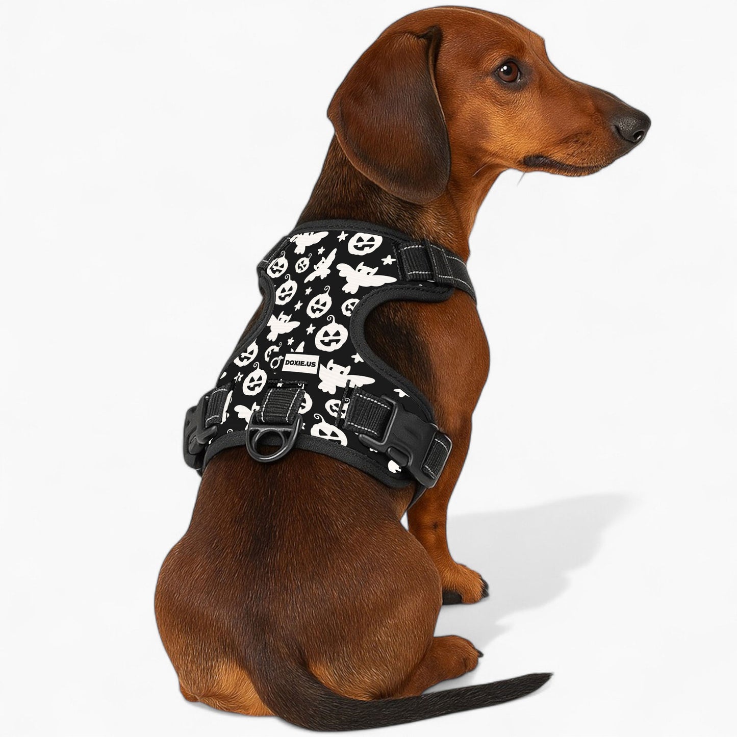 Poppy -  No-Pull Dachshund Dog Harness
