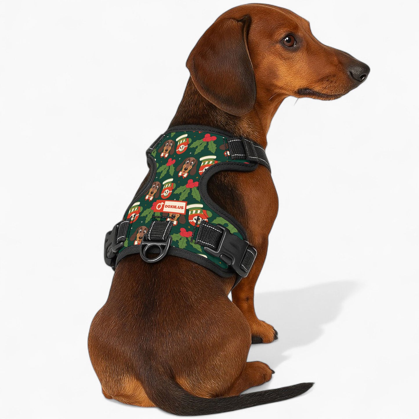 Bailey -  No-Pull Dachshund Dog Harness