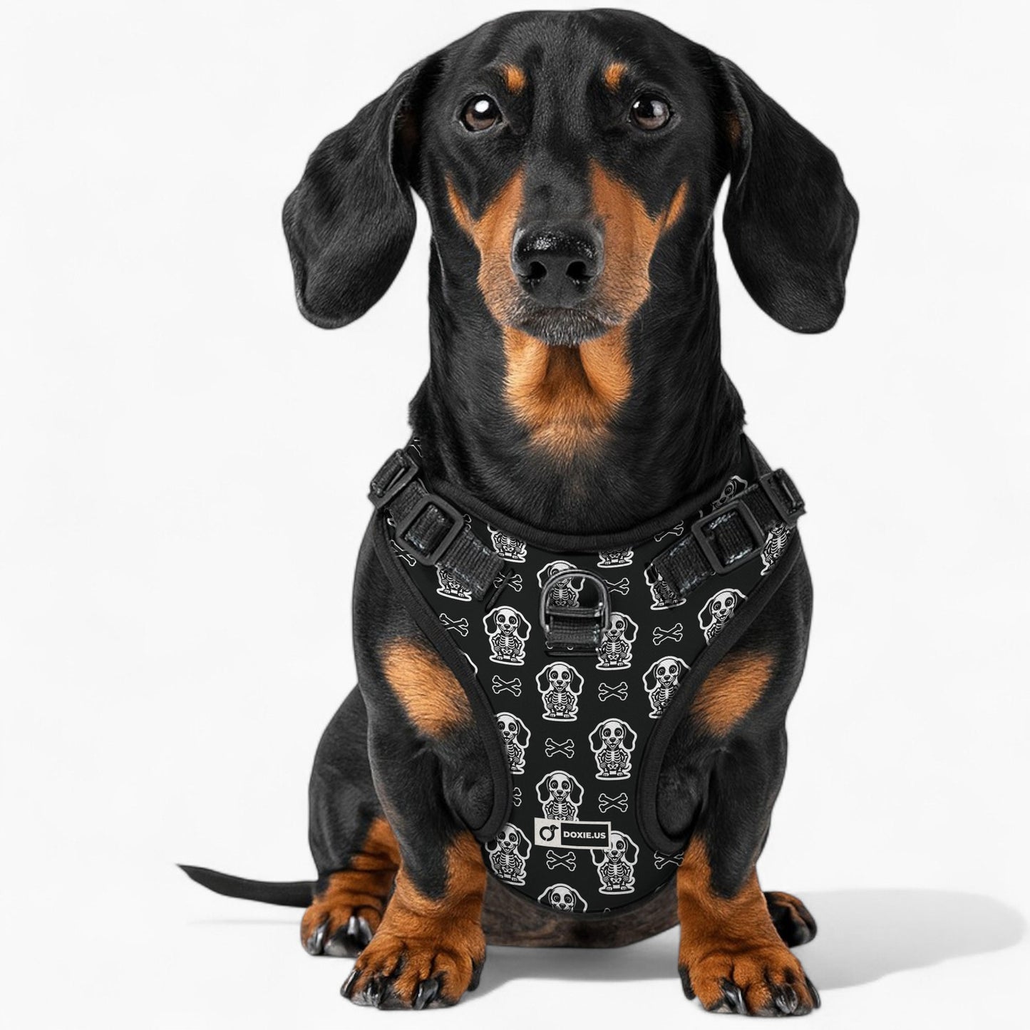 Ellie -  No-Pull Dachshund Dog Harness