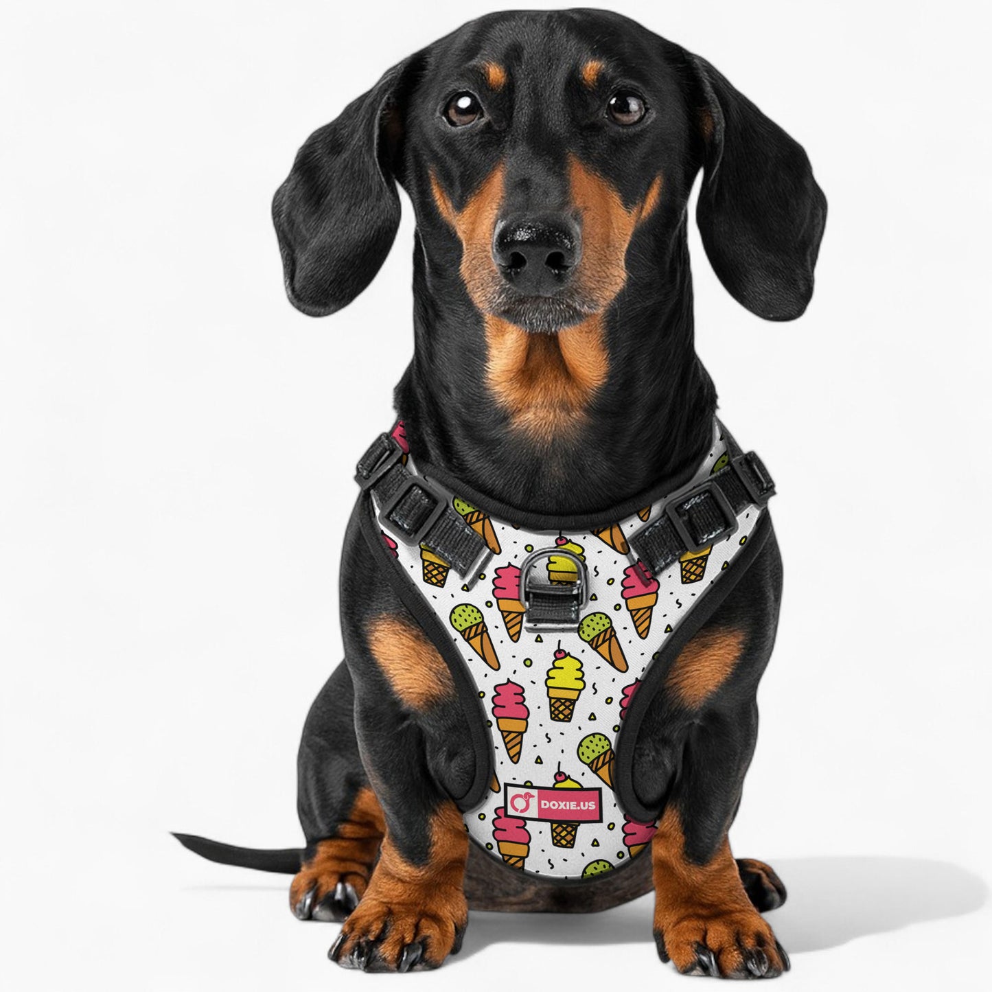 Frank -  No-Pull Dachshund Dog Harness