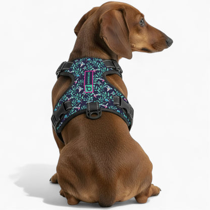 Sophie -  No-Pull Dachshund Dog Harness