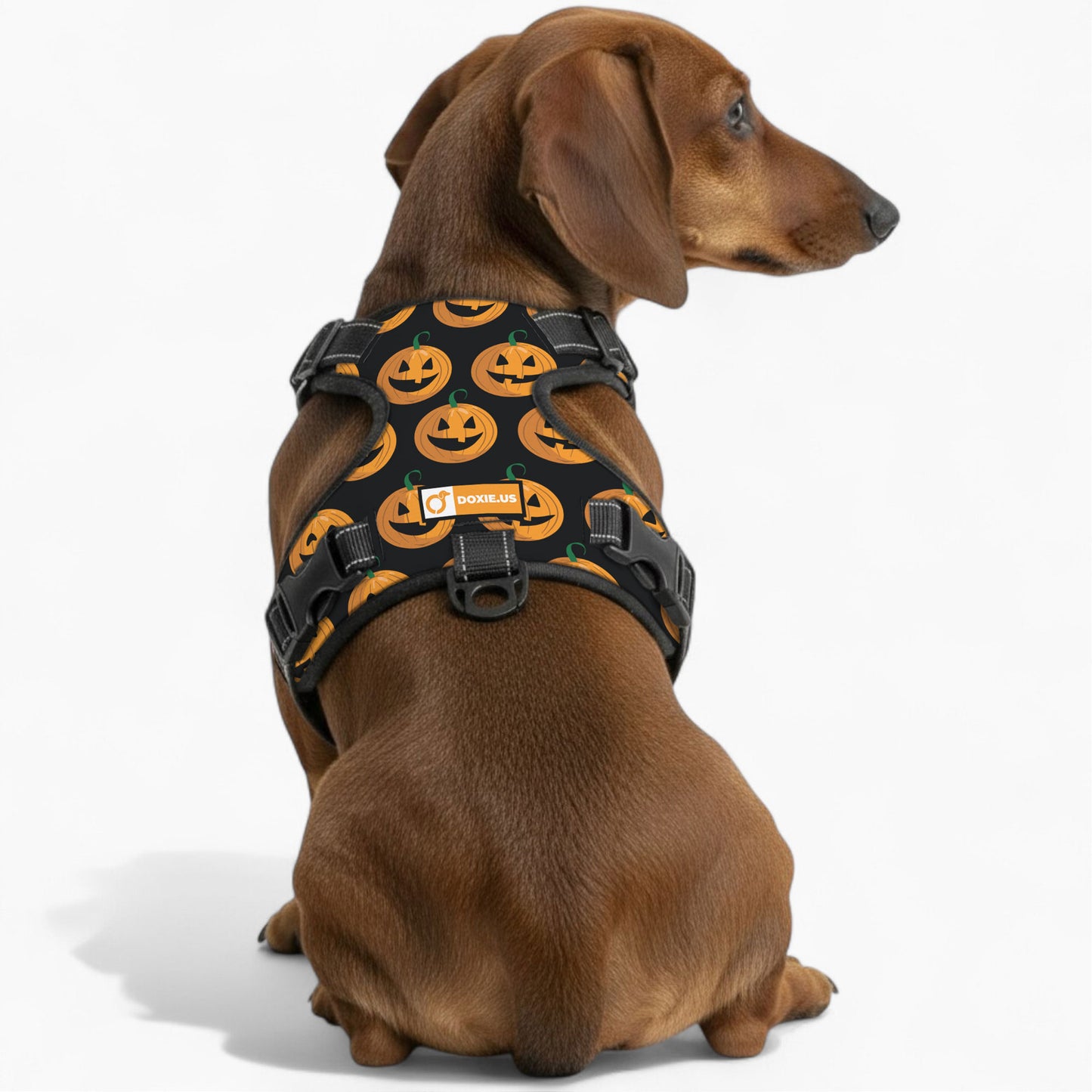 Stella -  No-Pull Dachshund Dog Harness