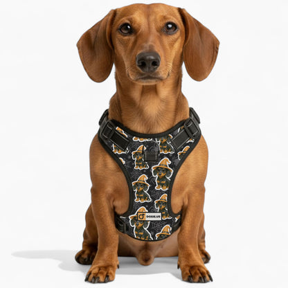 Roxy -  No-Pull Dachshund Dog Harness