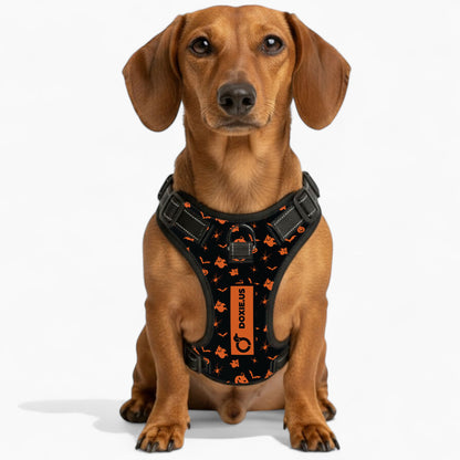 Maggie -  No-Pull Dachshund Dog Harness