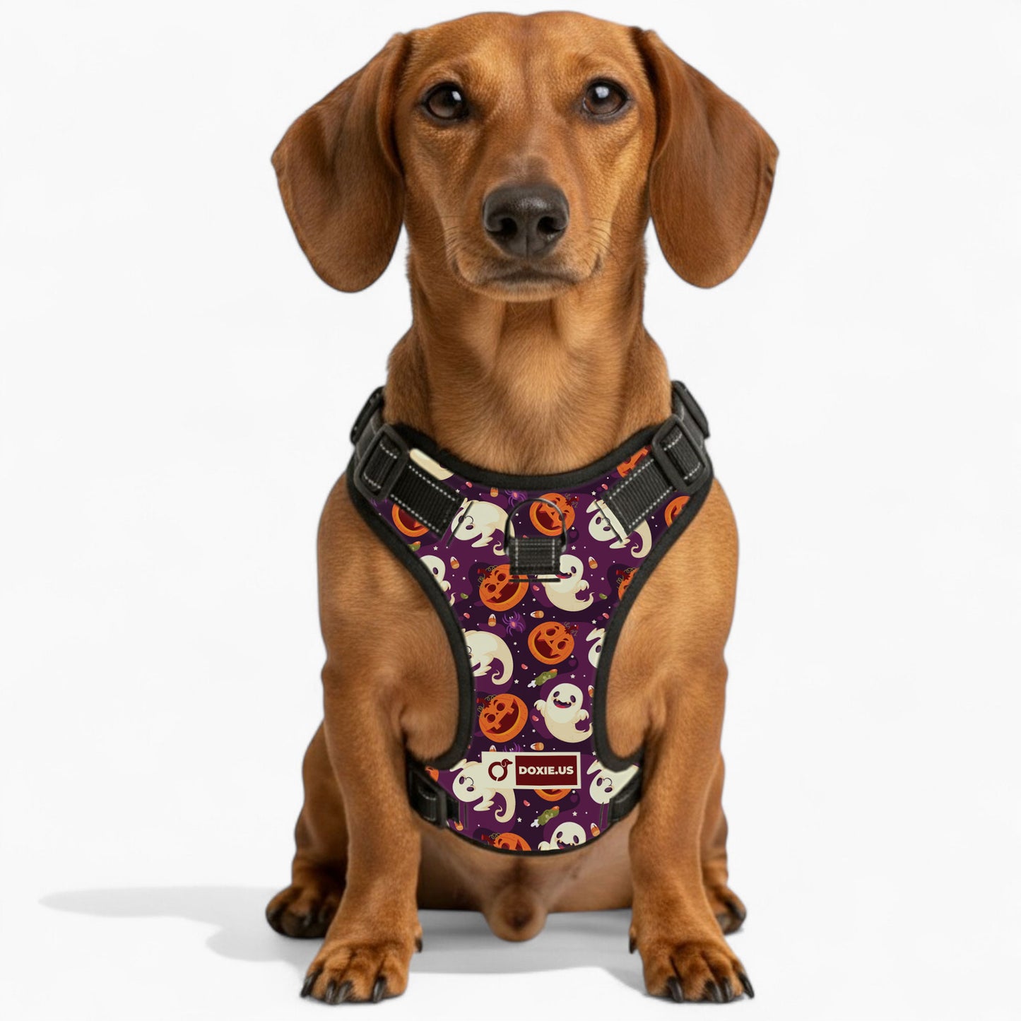 Rosie -  No-Pull Dachshund Dog Harness