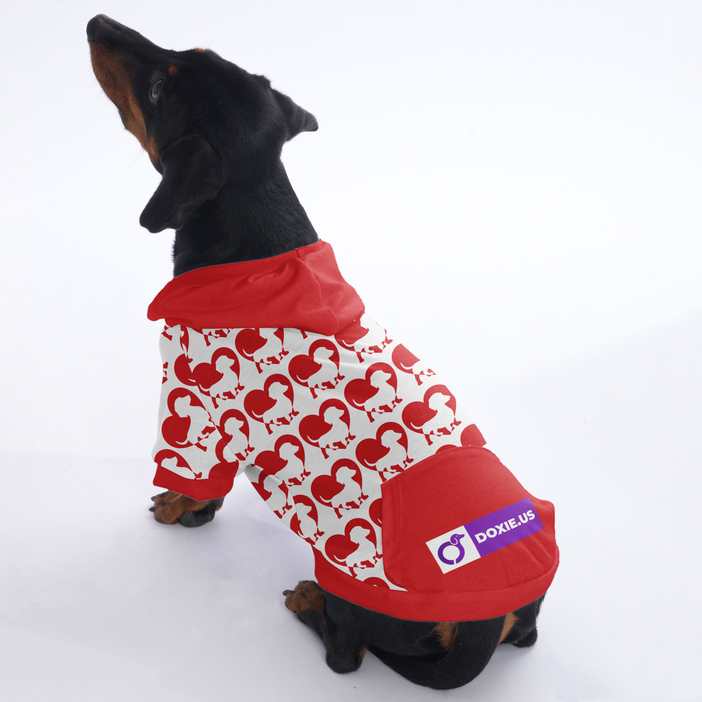 Jenkins - Hoodies for Dachshunds