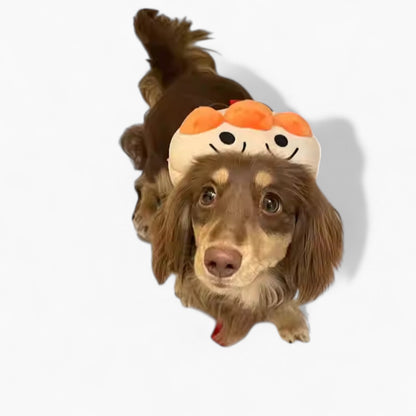 HarniBag-Dachshund-Backpack-Harness.jpg