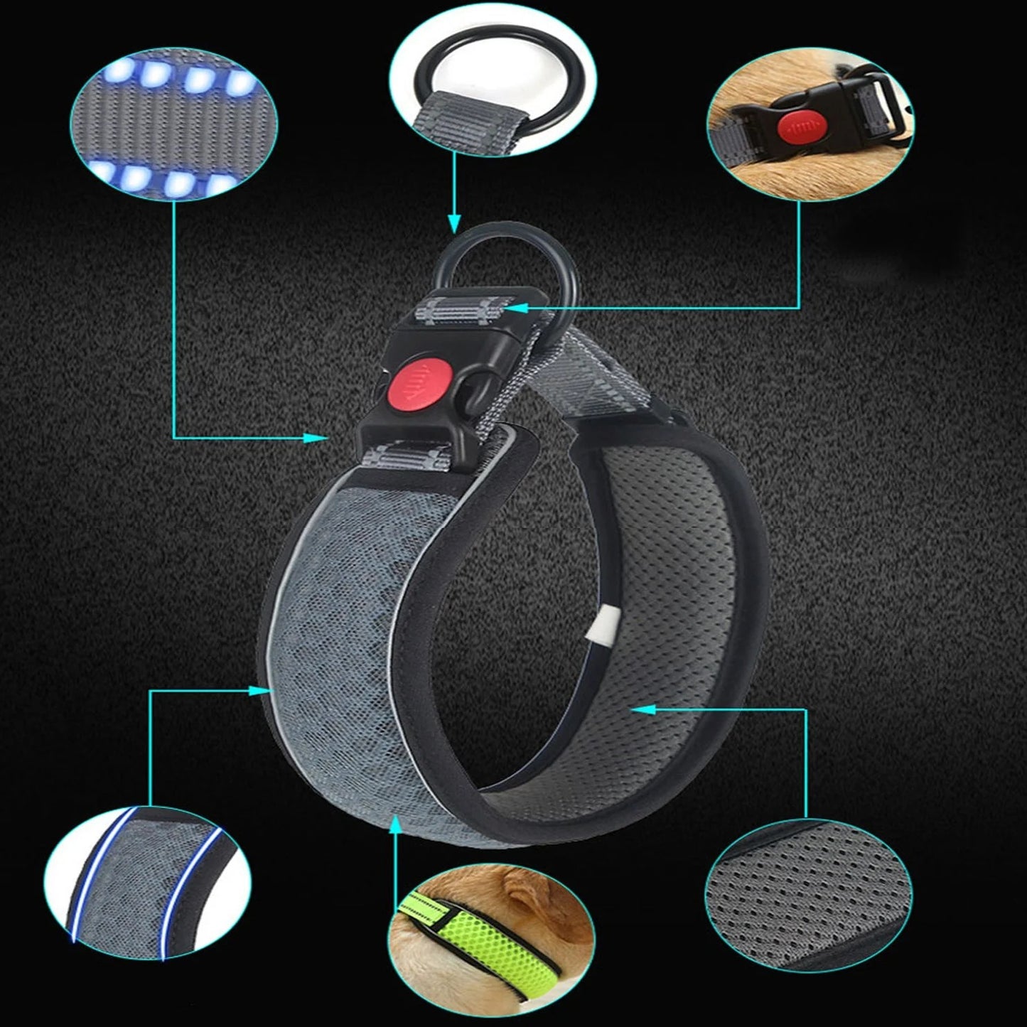HexaPaw-Dachshund-Reflective-Collar.jpg