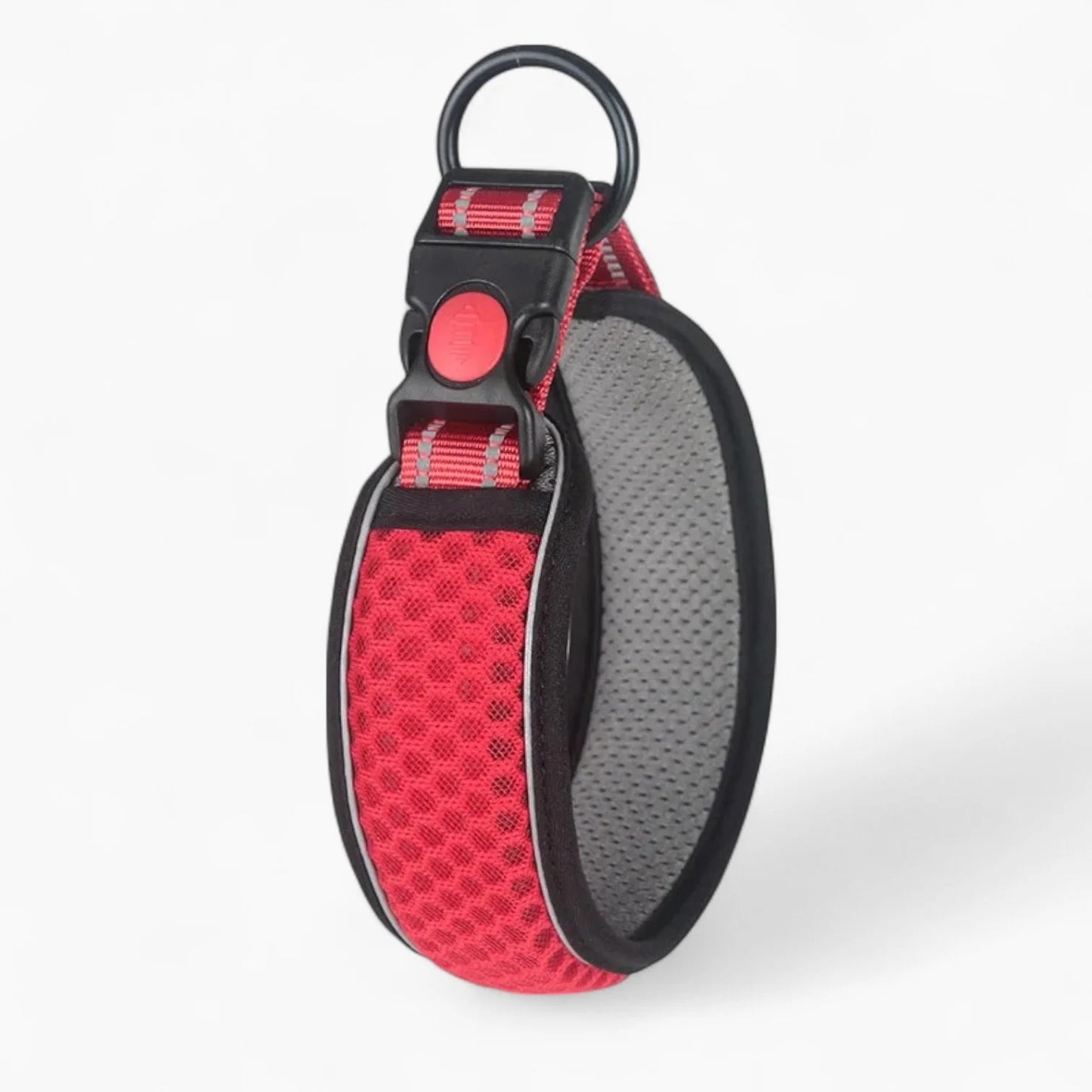 HexaPaw-Dachshund-Reflective-Collar.jpg