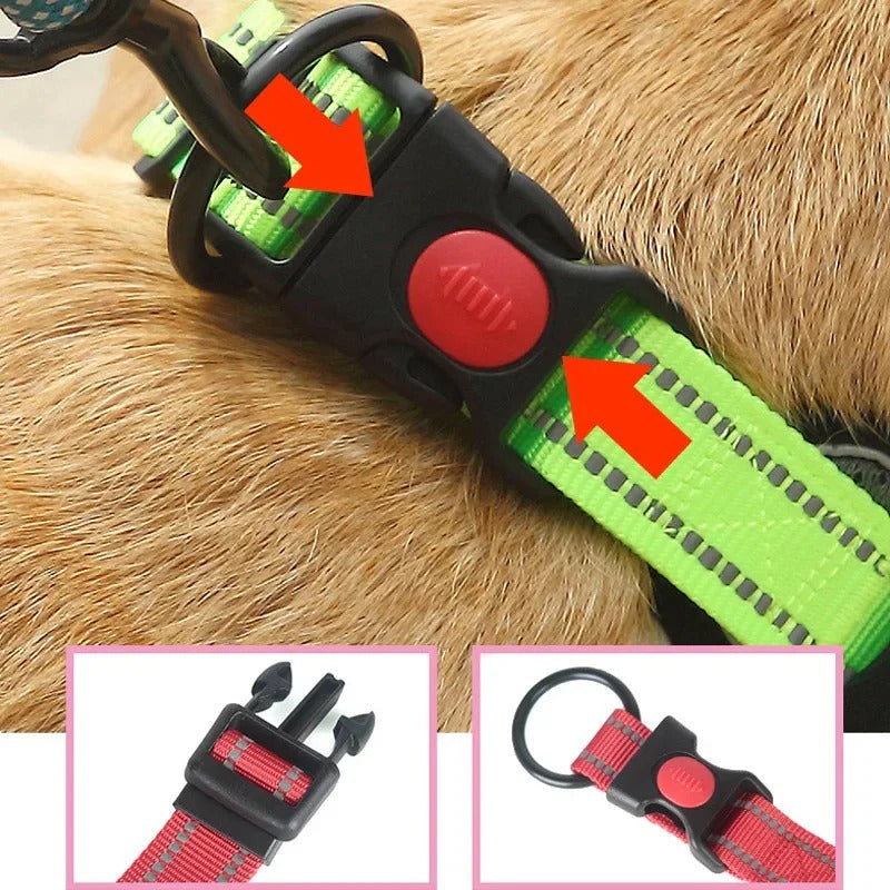 HexaPaw-Dachshund-Reflective-Collar.jpg