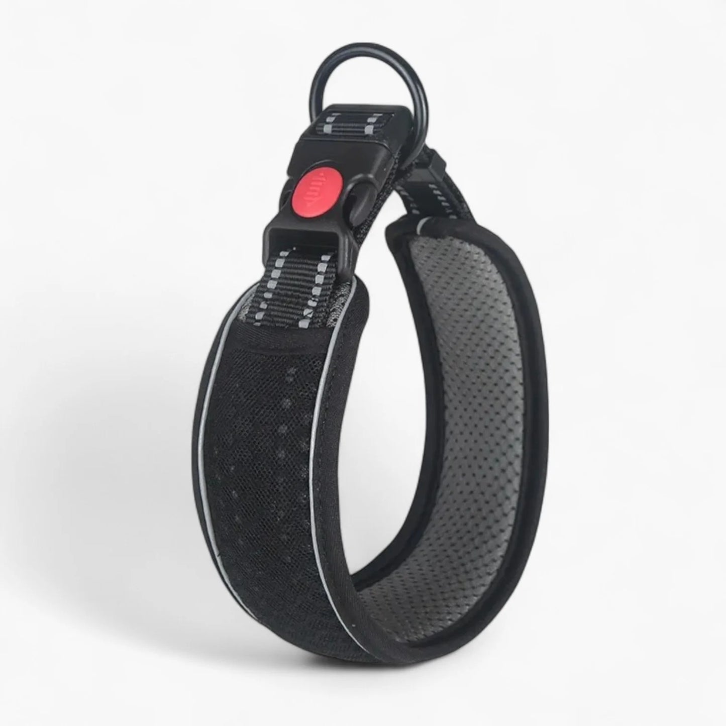 HexaPaw-Dachshund-Reflective-Collar.jpg