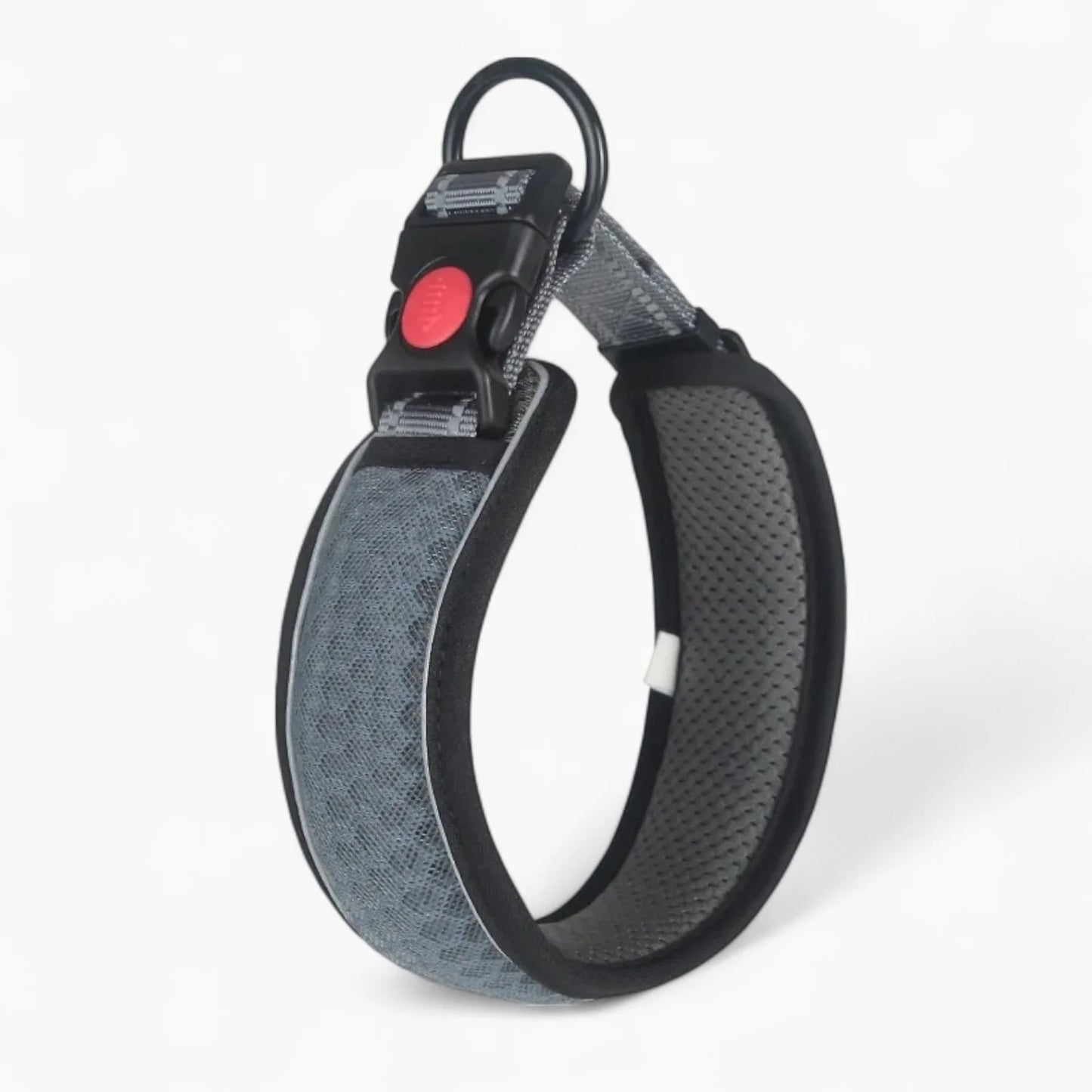 HexaPaw-Dachshund-Reflective-Collar.jpg