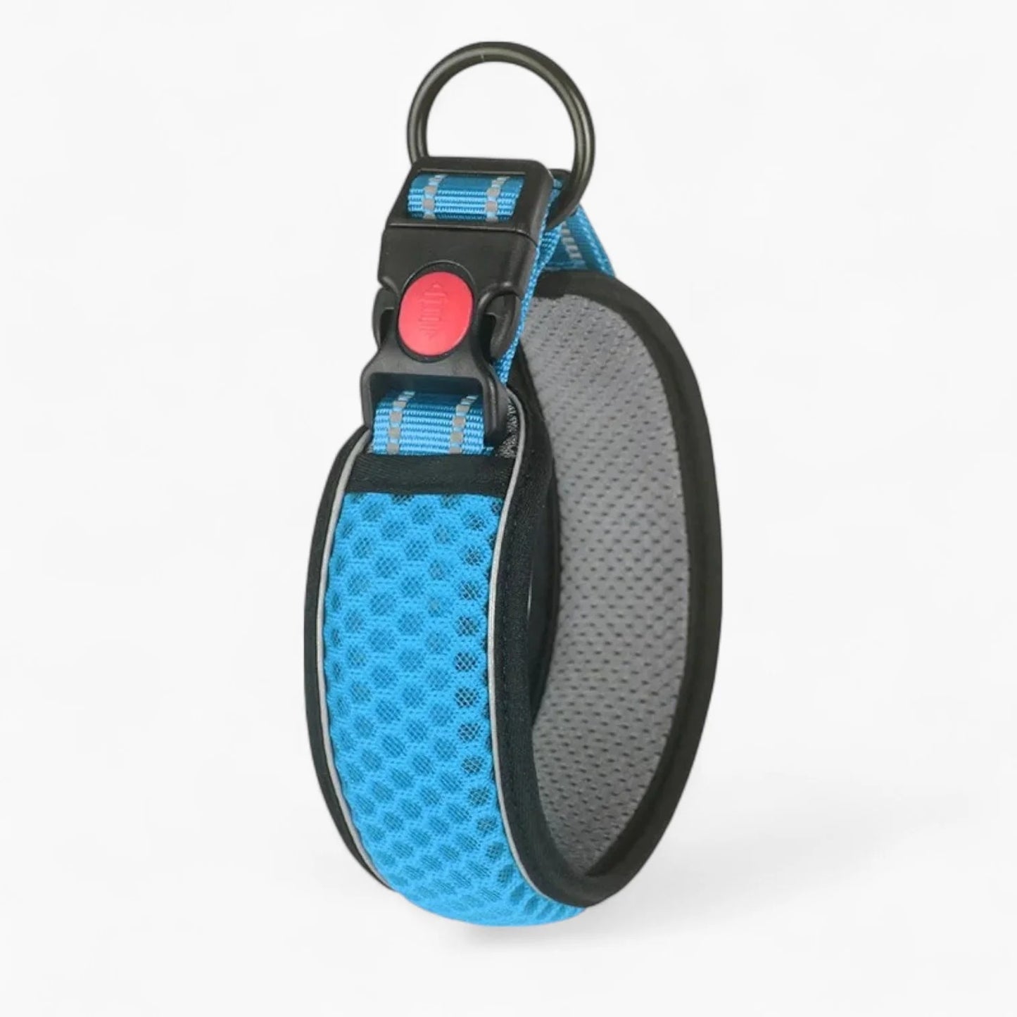 HexaPaw-Dachshund-Reflective-Collar.jpg