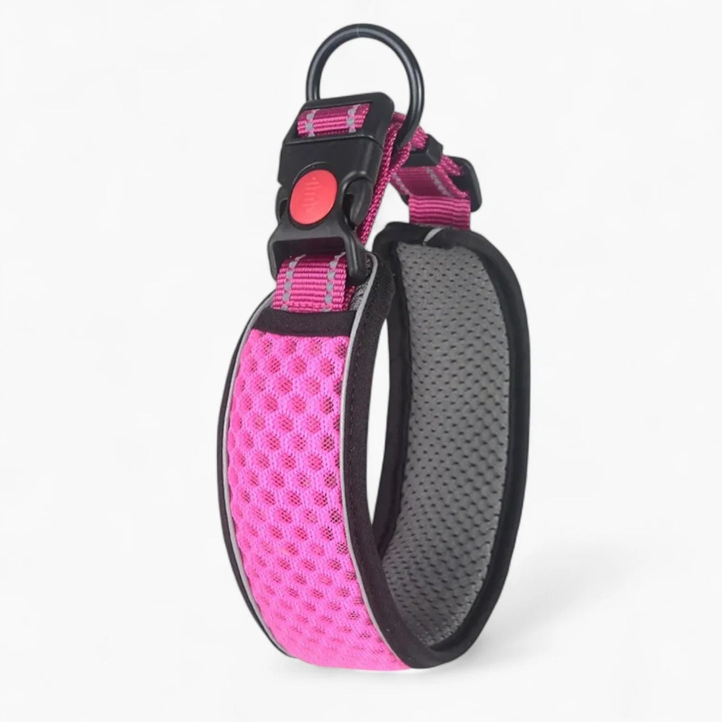 HexaPaw-Dachshund-Reflective-Collar.jpg