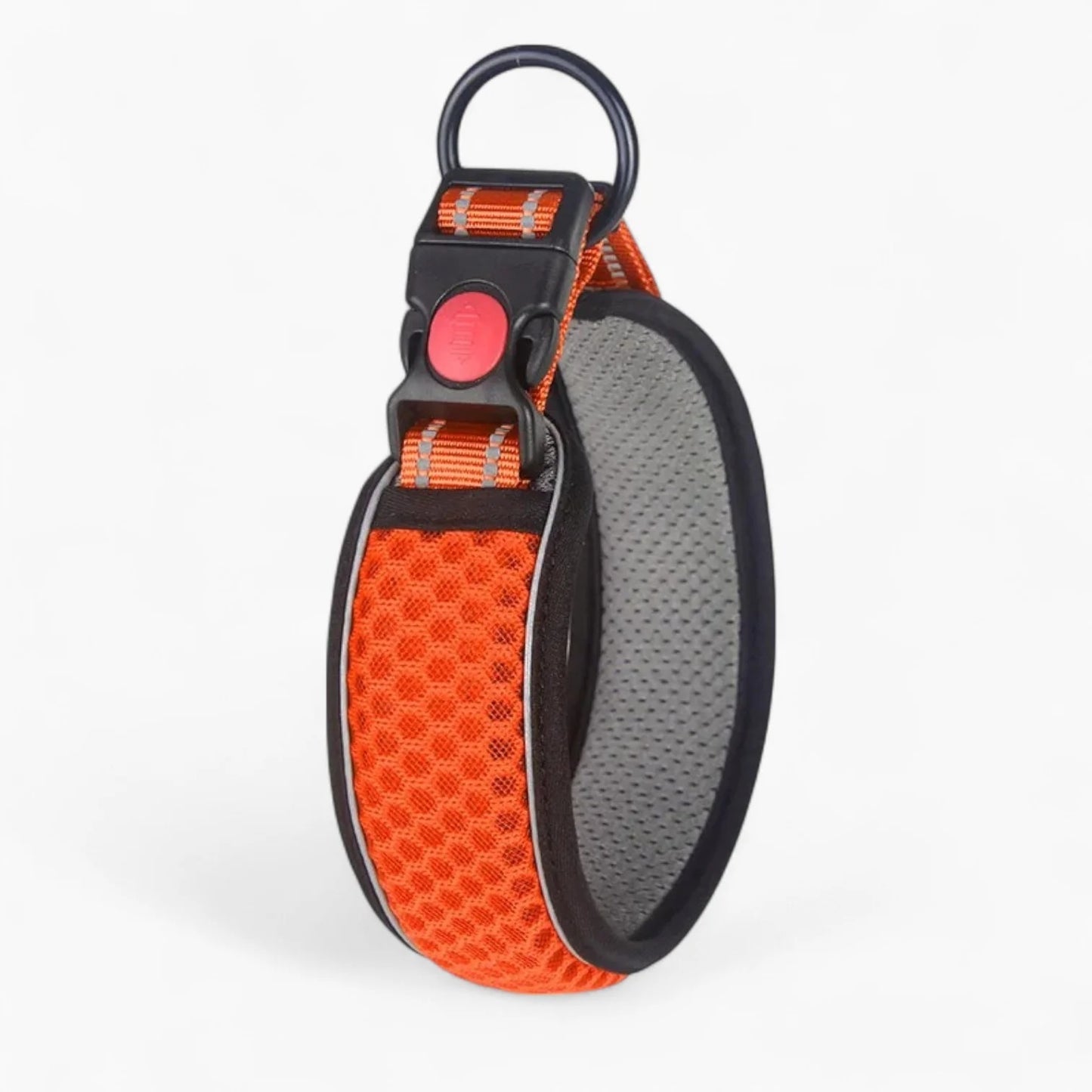 HexaPaw-Dachshund-Reflective-Collar.jpg
