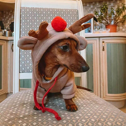 Reindeer Christmas hoodie on a dachshund, view 3