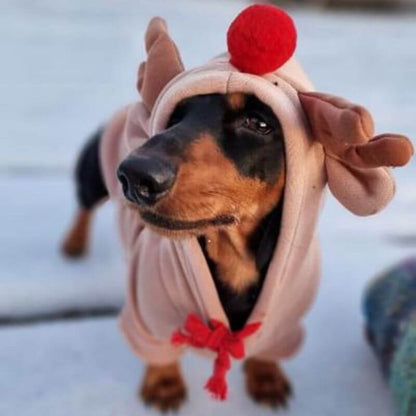 Reindeer Christmas hoodie on a dachshund, view 5