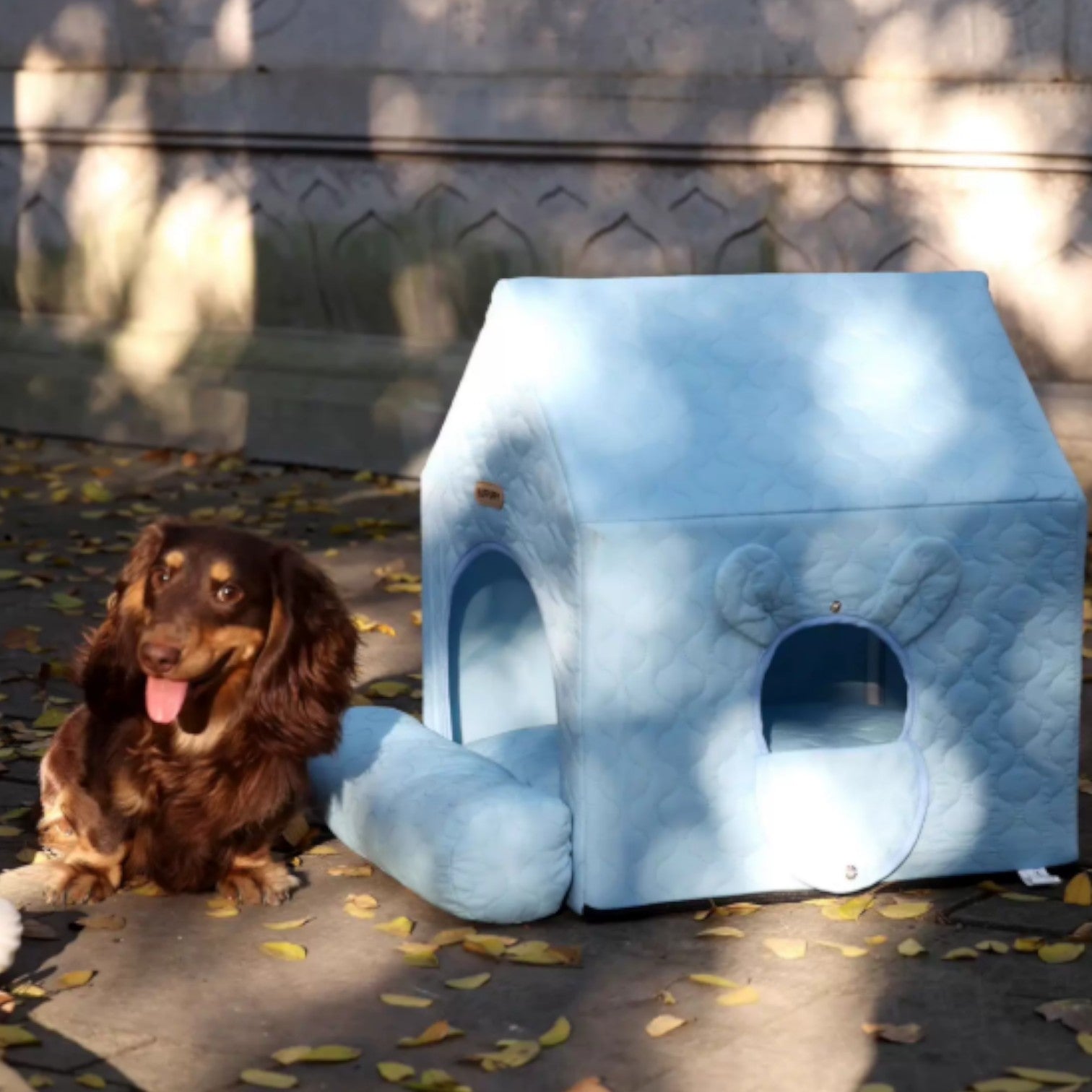 HouPup-Dachshund-Tent-House.jpg