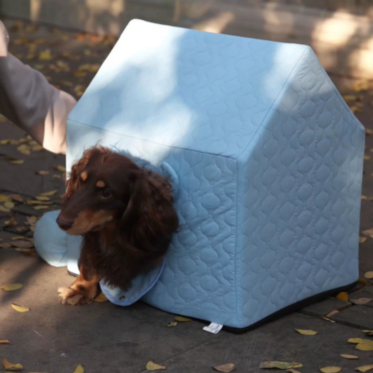 HouPup-Dachshund-Tent-House.jpg