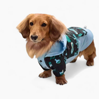 HydroDox-Dachshund-Rain-Suit.jpg