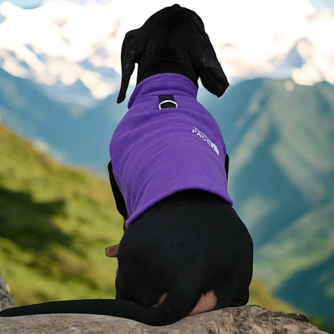 The Dog Face Dachshund Jacket Premium Fleece for Cold-Weather Comfort