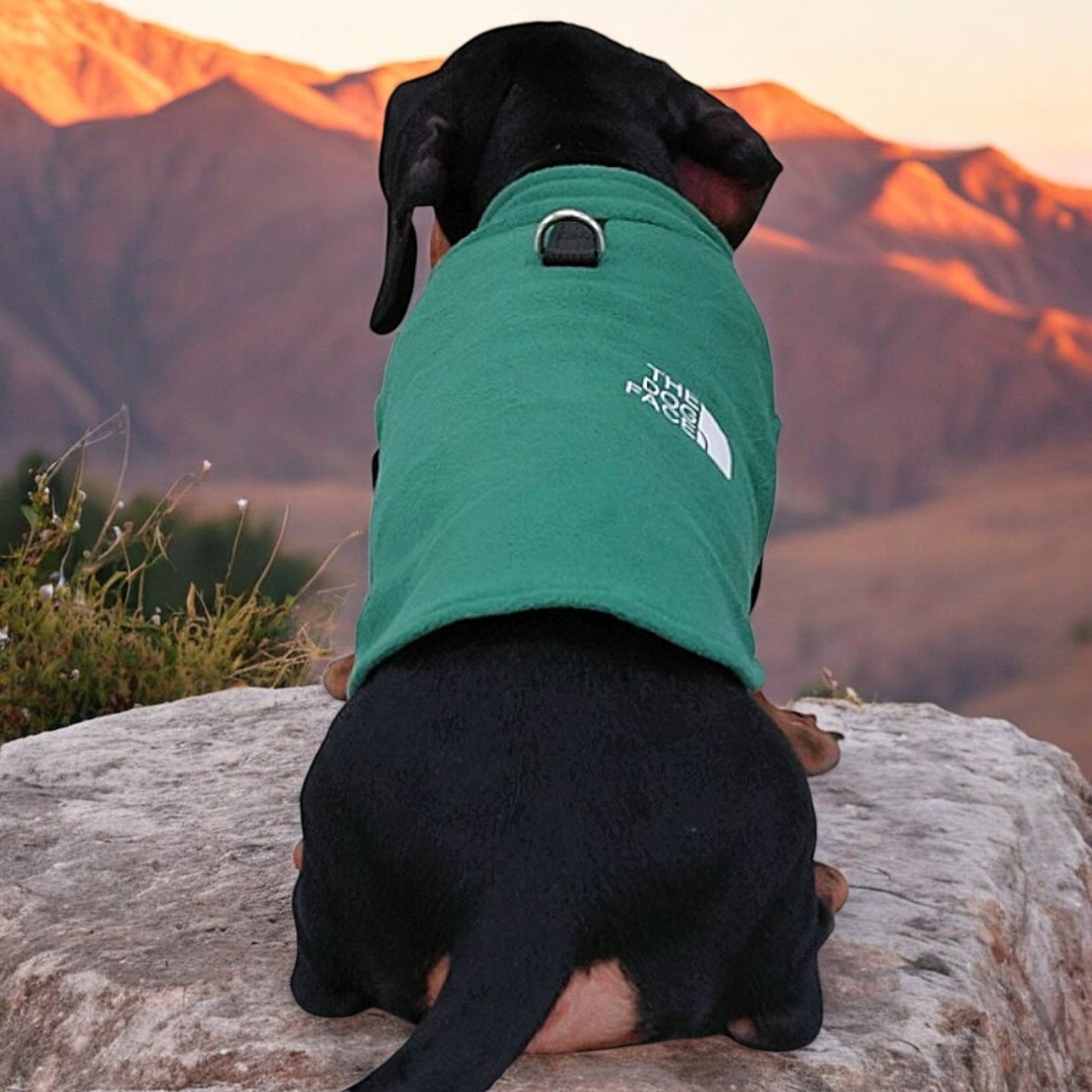 The Dog Face Dachshund Jacket Premium Fleece for Cold-Weather Comfort