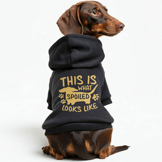 Spoiled - Personalized Dachshund Hoodies with Funny Quotes – Stylish, Cozy, and Premium 100% Cotton