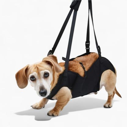 LiftEase-Dachshund-Support-Harness.jpg
