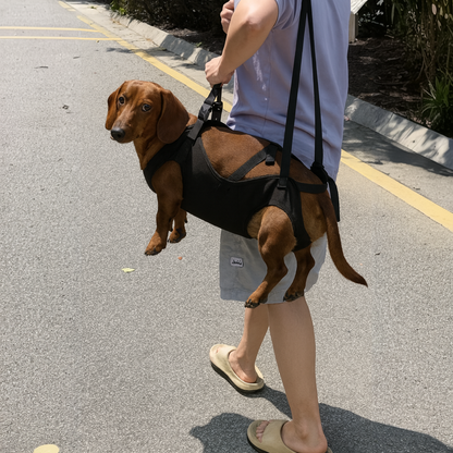 LiftEase-Dachshund-Support-Harness.jpg