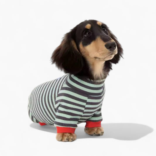 LounJee-Dachshund-Striped-Jumpsuit.jpg