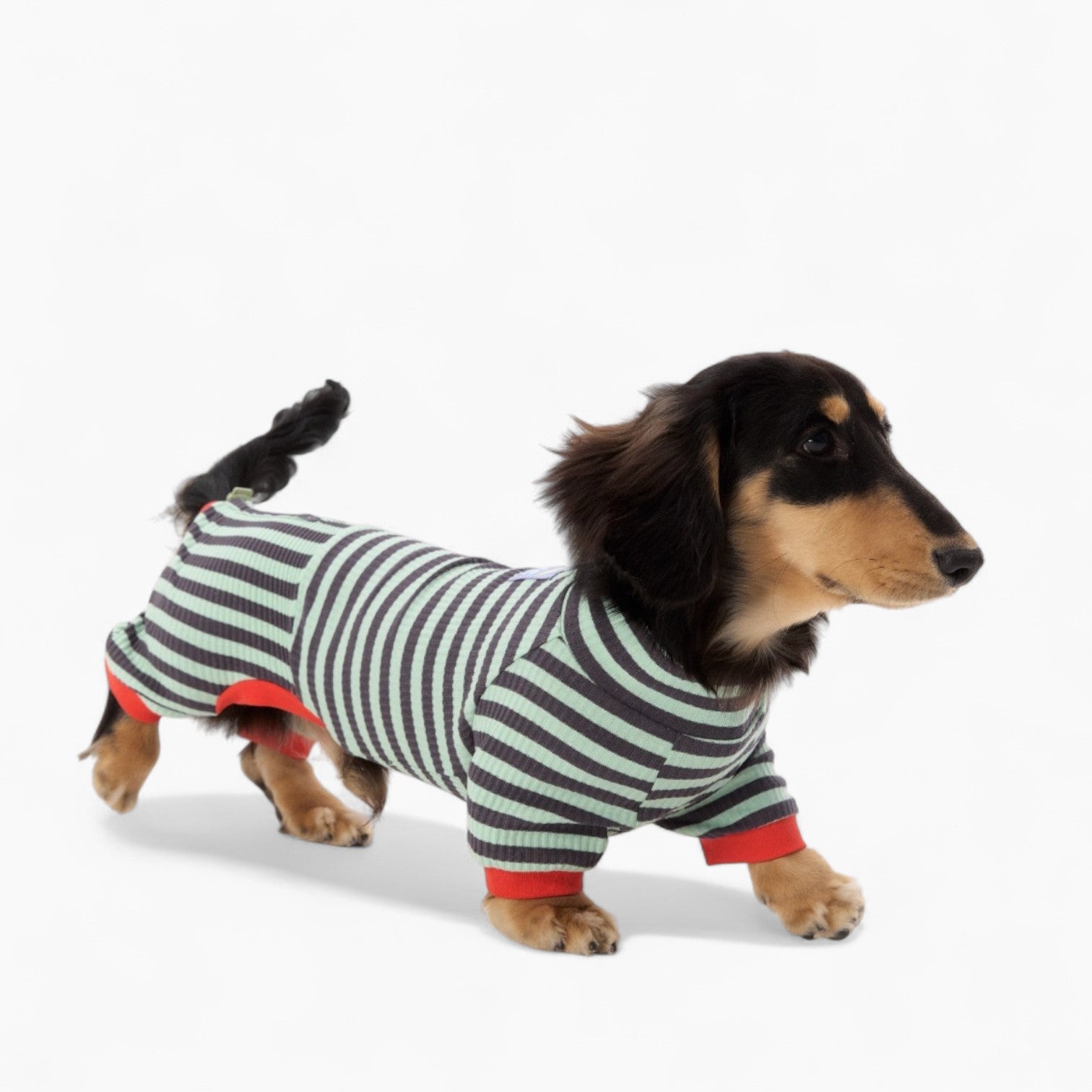 LounJee-Dachshund-Striped-Jumpsuit.jpg