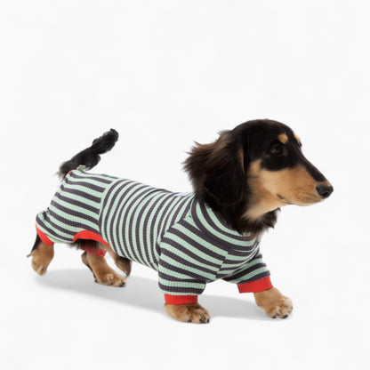 LounJee-Dachshund-Striped-Jumpsuit.jpg